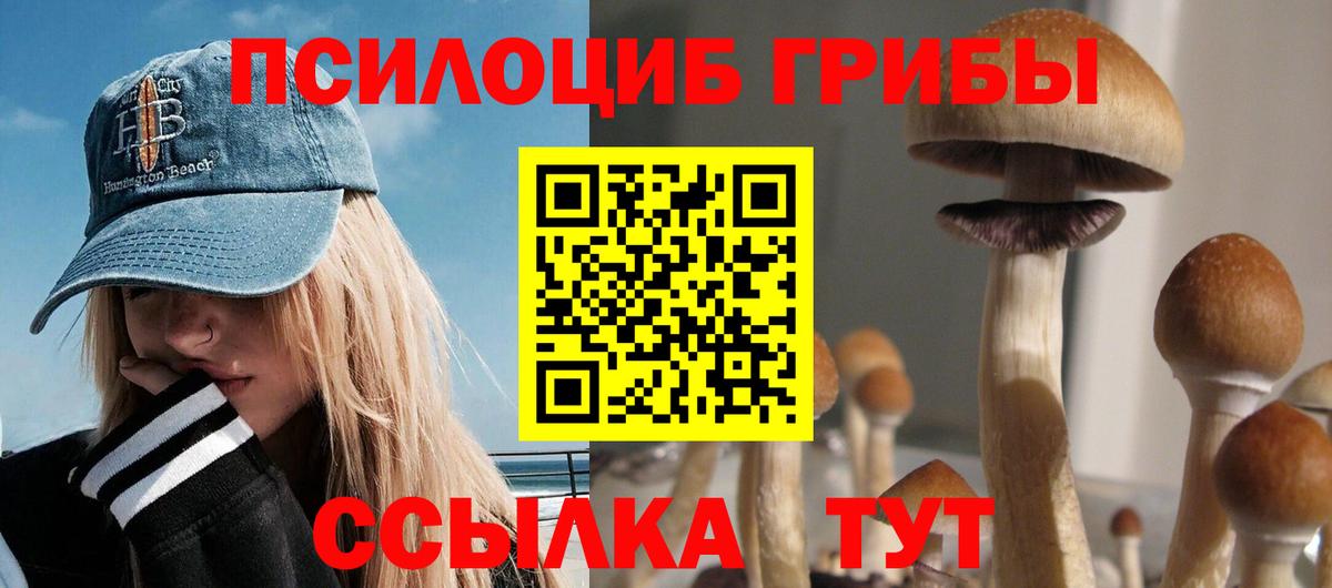 Псилоцибиновые грибы Magic Shrooms Волжск