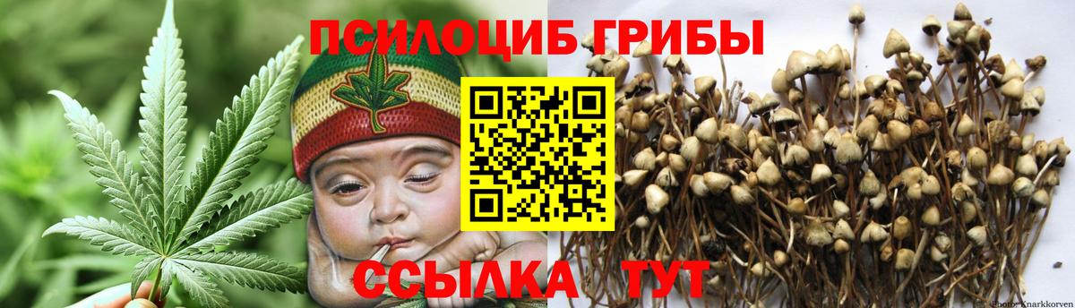 Галлюциногенные грибы мухоморы  Псилоцибиновые грибы ЛСД  Волжск  Вход с VPN 